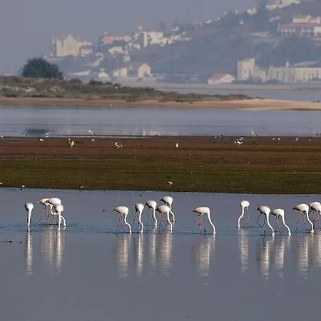 بيت للعطل Serenity - Between Golf And The Sea