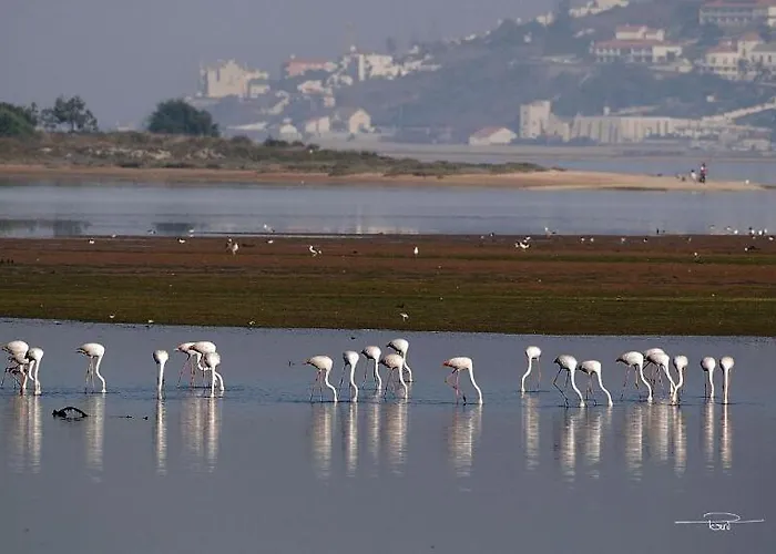 Ferienhaus Serenity - Between Golf And The Sea